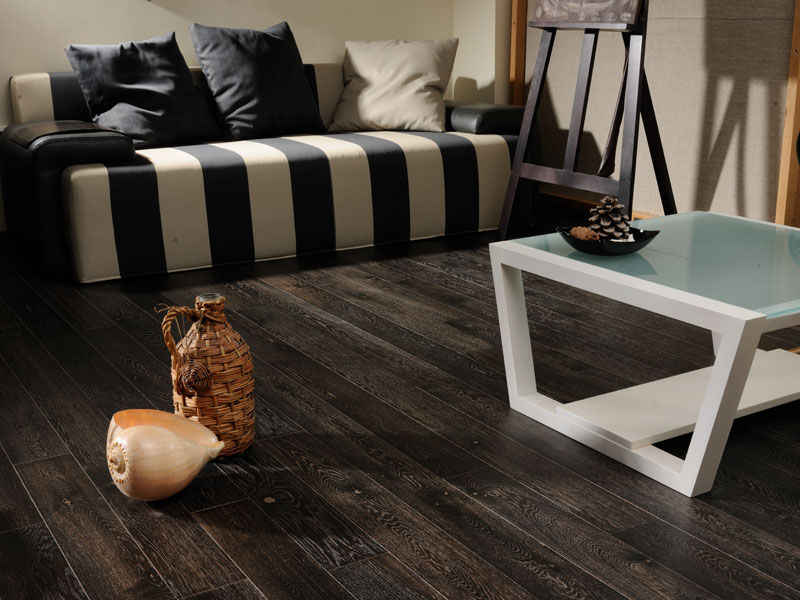 modern living room ideas with black hardwood floors